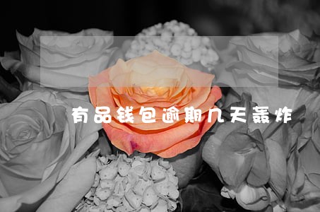 有品钱包逾期几天轰炸 有品钱包逾期几天轰炸