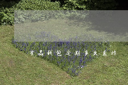 有品钱包逾期多久轰炸