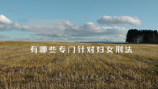 有哪些专门针对妇女刑法 有哪些专门针对妇女刑法