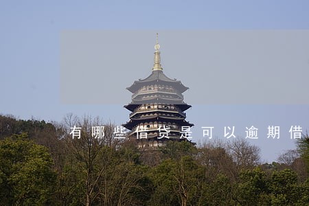 有哪些借贷是可以逾期借款的 有哪些借贷是可以逾期借款的