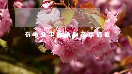 有哪些平台逾期可以借款