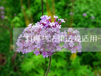 有哪些法律法规适用于贷款逾期 有哪些法律法规适用于贷款逾期