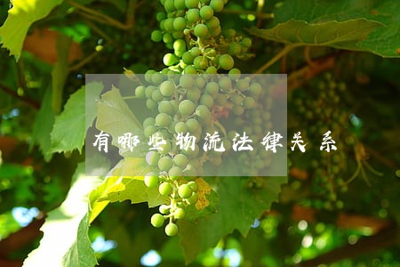有哪些物流法律关系 有哪些物流法律关系