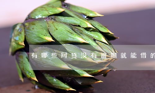 有哪些网贷没有逾期就能借的 有哪些网贷没有逾期就能借的