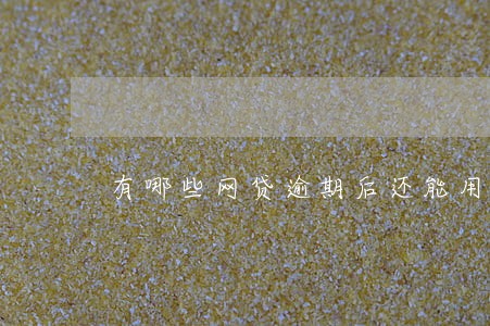 有哪些网贷逾期后还能用的 有哪些网贷逾期后还能用的