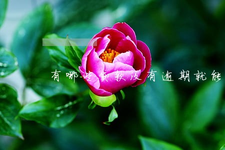 有哪些贷款没有逾期就能下 有哪些贷款没有逾期就能下