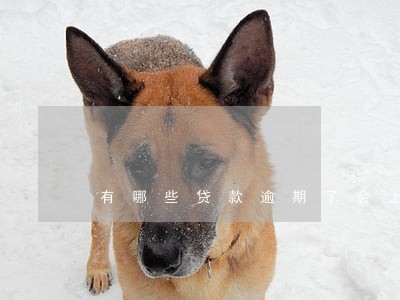 有哪些贷款逾期了会上征信 有哪些贷款逾期了会上征信