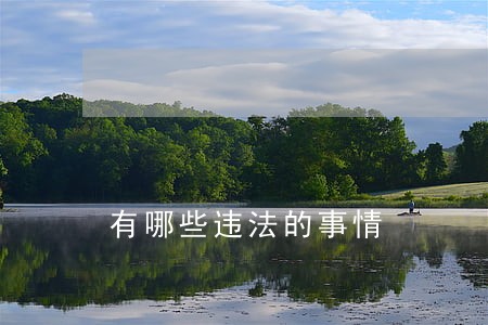 有哪些违法的事情 有哪些违法的事情