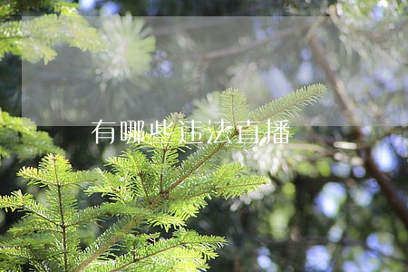 有哪些违法直播 有哪些违法直播