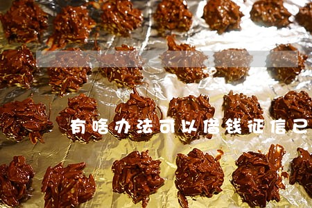 有啥办法可以借钱征信已经逾期