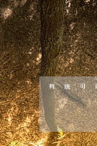 有啥可以免费咨询律师 有啥可以免费咨询律师