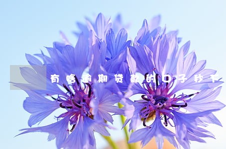 有啥逾期贷款的口子秒下的 有啥逾期贷款的口子秒下的