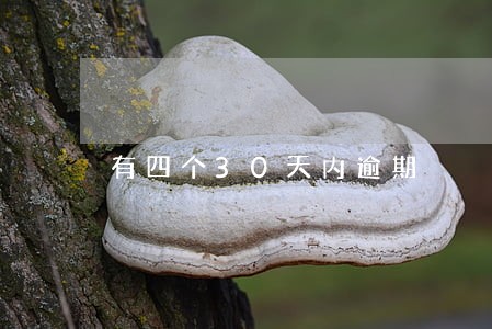 有四个30天内逾期 有四个30天内逾期