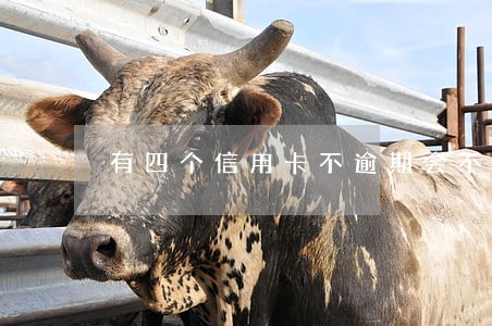 有四个信用卡不逾期会不会影响 有四个信用卡不逾期会不会影响