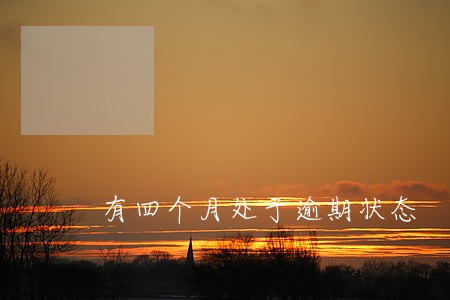 有四个月处于逾期状态 有四个月处于逾期状态