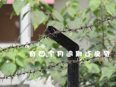 有四个月逾期还房贷 有四个月逾期还房贷