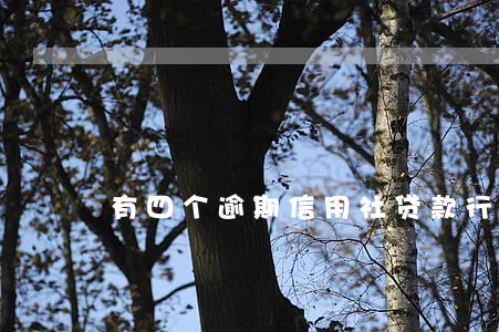 有四个逾期信用社贷款行不行 有四个逾期信用社贷款行不行