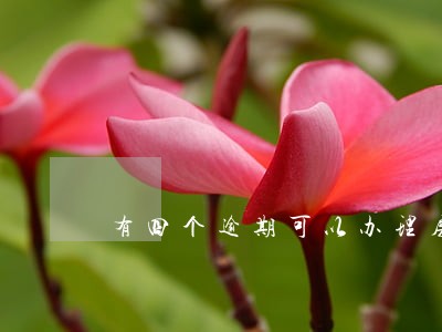 有四个逾期可以办理房贷吗 有四个逾期可以办理房贷吗