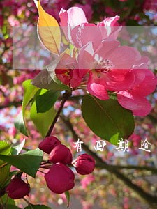 有四期逾期一个月 有四期逾期一个月