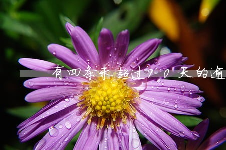 有四条未超过90天的逾期 有四条未超过90天的逾期