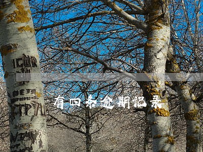 有四条逾期记录 有四条逾期记录
