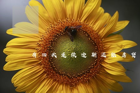 有四次连续逾期还能房贷吗 有四次连续逾期还能房贷吗