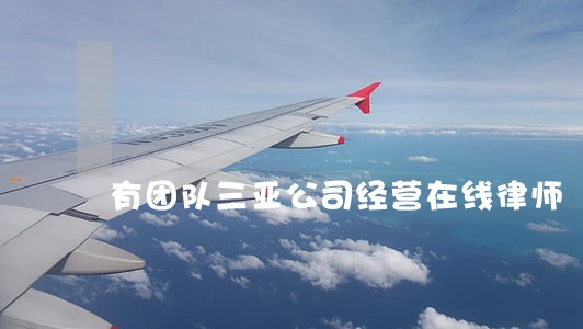 有团队三亚公司经营在线律师