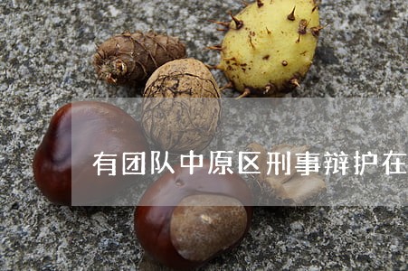 有团队中原区刑事辩护在线律师 有团队中原区刑事辩护在线律师