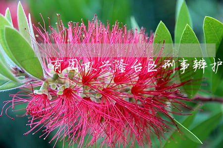 有团队兴隆台区刑事辩护在线律师 有团队兴隆台区刑事辩护在线律师
