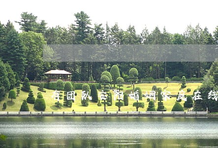 有团队安阳婚姻家庭在线律师 有团队安阳婚姻家庭在线律师