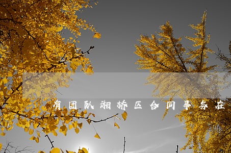有团队湘桥区合同事务在线律师 有团队湘桥区合同事务在线律师