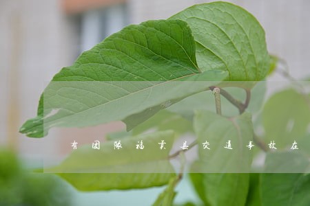 有团队福贡县交通事故在线律师 有团队福贡县交通事故在线律师