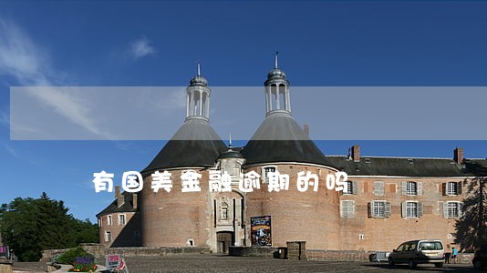 有国美金融逾期的吗 有国美金融逾期的吗