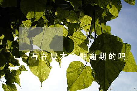 有在厚本金融逾期的吗