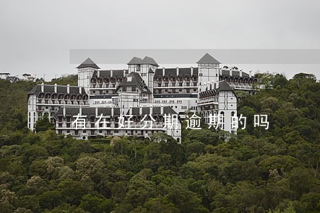 有在好分期逾期的吗 有在好分期逾期的吗