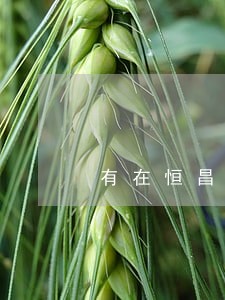 有在恒昌逾期一年的没 有在恒昌逾期一年的没