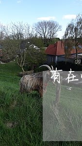 有在恒易贷逾期三个月的吗 有在恒易贷逾期三个月的吗