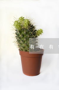 有在有钱花逾期没还不接电话的吗 有在有钱花逾期没还不接电话的吗