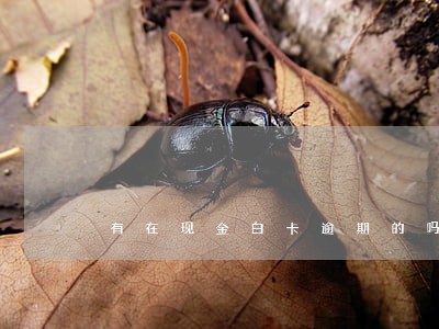 有在现金白卡逾期的吗 有在现金白卡逾期的吗