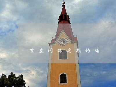 有在闪银逾期的吗 有在闪银逾期的吗