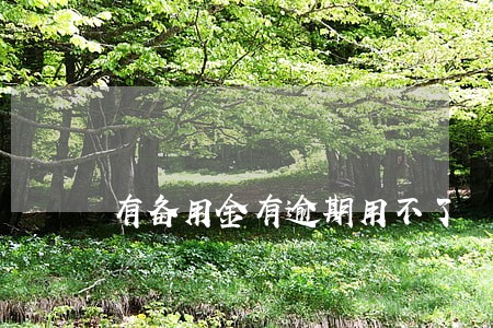 有备用金有逾期用不了 有备用金有逾期用不了