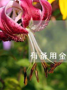 有备用金逾期三天的么 有备用金逾期三天的么