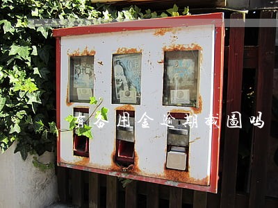 有备用金逾期截图吗