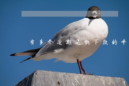 有多个逾期还能下款的平台 有多个逾期还能下款的平台