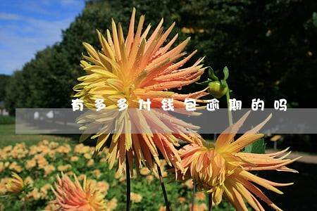 有多多付钱包逾期的吗 有多多付钱包逾期的吗