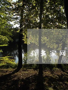 有多家网贷没有逾期 有多家网贷没有逾期