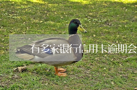 有多家银行信用卡逾期会怎么样
