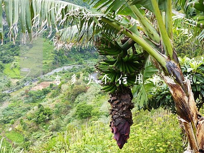 有多少个信用卡逾期 有多少个信用卡逾期