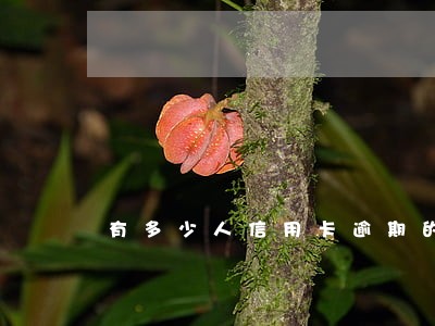 有多少人信用卡逾期的百度贴吧 有多少人信用卡逾期的百度贴吧