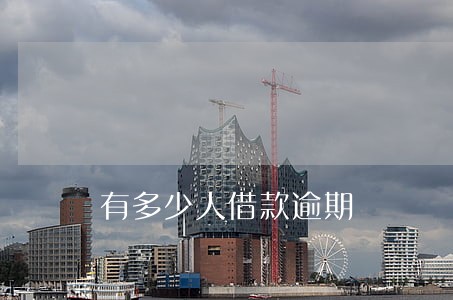 有多少人借款逾期 有多少人借款逾期
